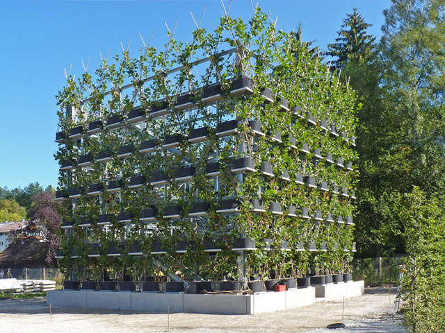 Living Buildings Growing in Favour